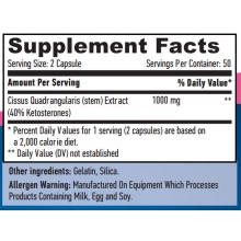 Haya Labs Cissus 100 kapslí